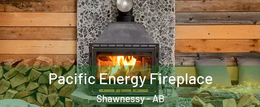  Pacific Energy Fireplace Shawnessy - AB