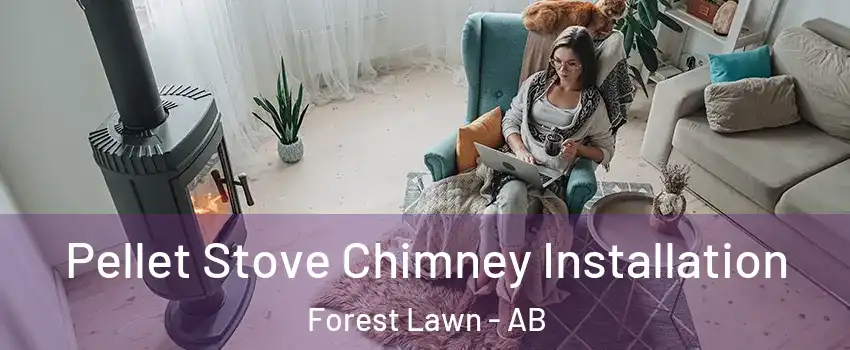  Pellet Stove Chimney Installation Forest Lawn - AB