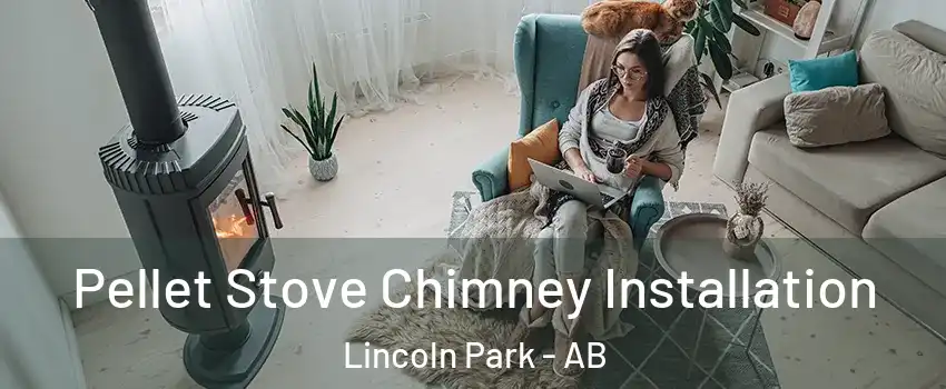  Pellet Stove Chimney Installation Lincoln Park - AB