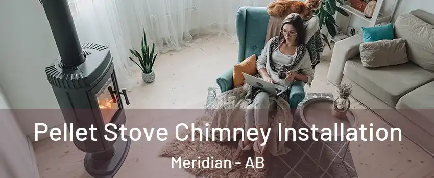  Pellet Stove Chimney Installation Meridian - AB