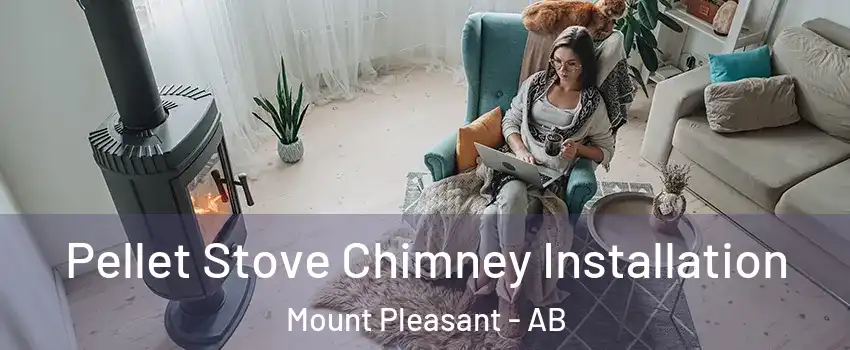  Pellet Stove Chimney Installation Mount Pleasant - AB