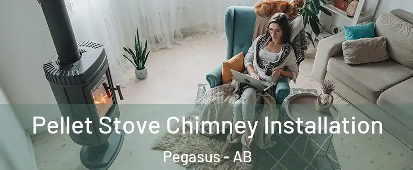  Pellet Stove Chimney Installation Pegasus - AB