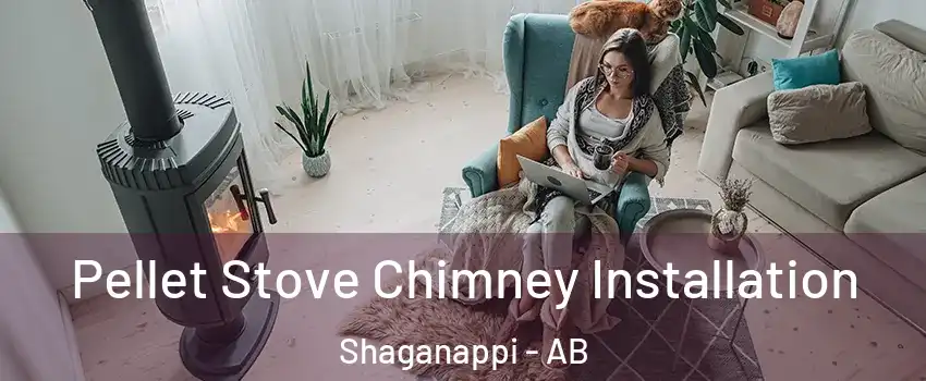  Pellet Stove Chimney Installation Shaganappi - AB