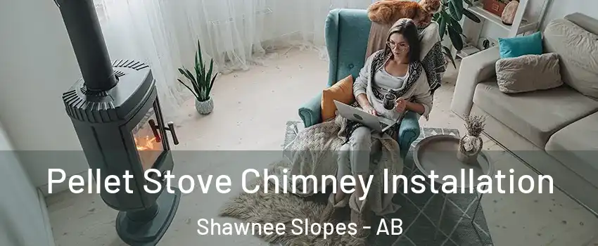  Pellet Stove Chimney Installation Shawnee Slopes - AB