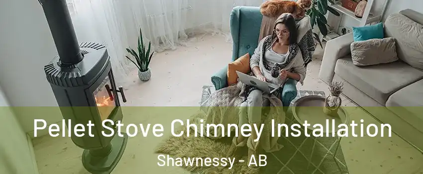  Pellet Stove Chimney Installation Shawnessy - AB