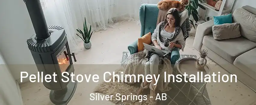  Pellet Stove Chimney Installation Silver Springs - AB