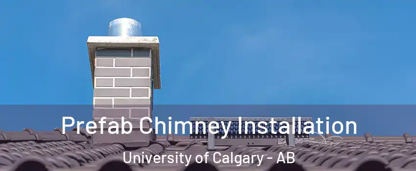  Prefab Chimney Installation University of Calgary - AB