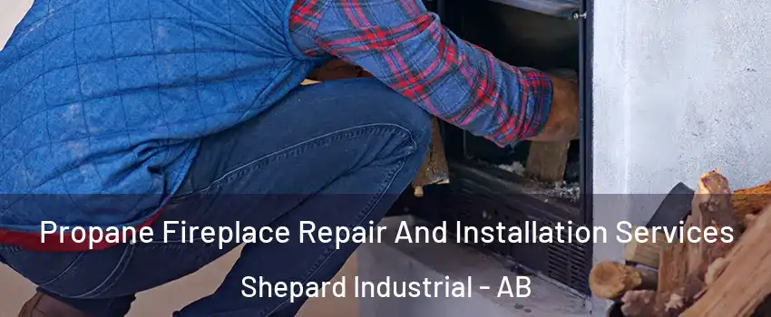  Propane Fireplace Repair And Installation Services Shepard Industrial - AB