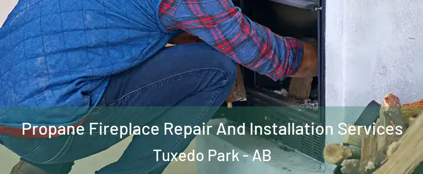  Propane Fireplace Repair And Installation Services Tuxedo Park - AB
