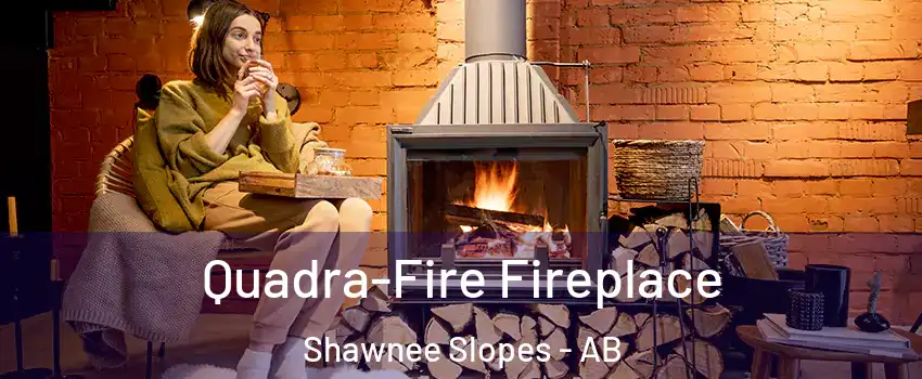  Quadra-Fire Fireplace Shawnee Slopes - AB