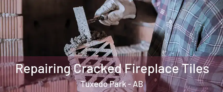  Repairing Cracked Fireplace Tiles Tuxedo Park - AB