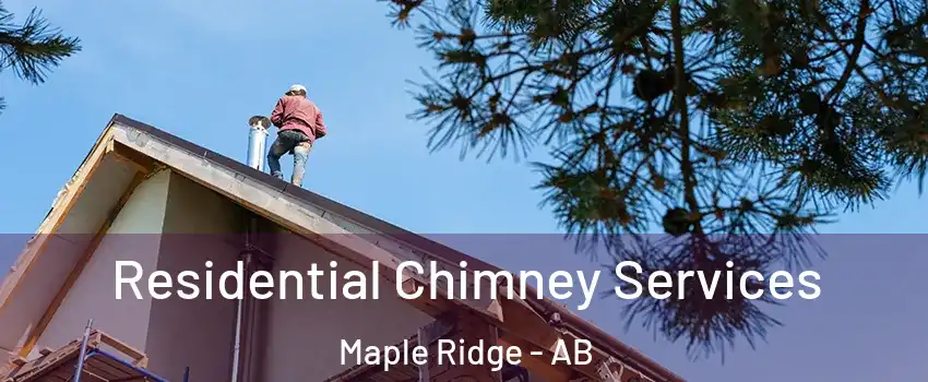  Residential Chimney Services Maple Ridge - AB