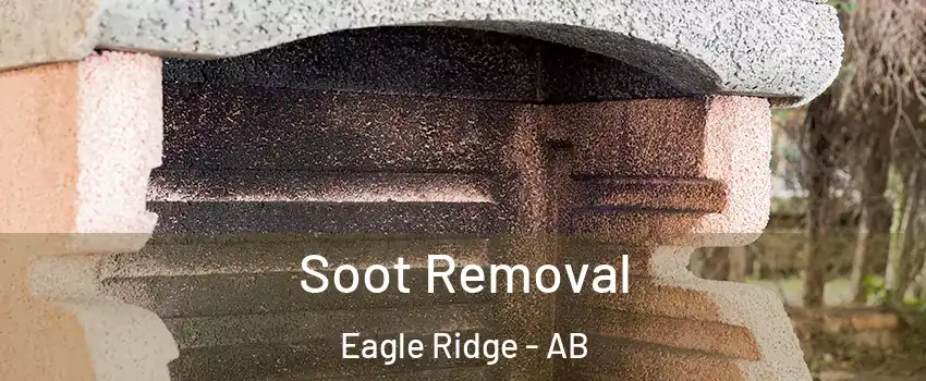  Soot Removal Eagle Ridge - AB