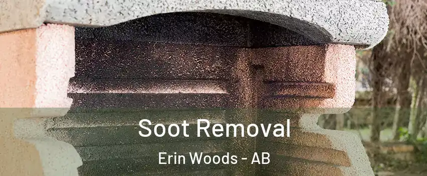  Soot Removal Erin Woods - AB