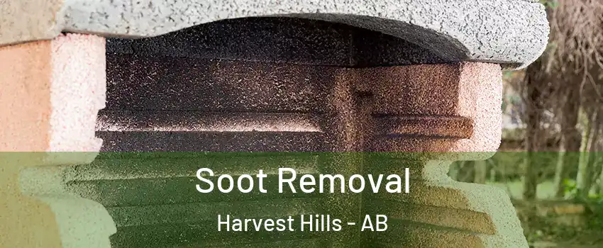  Soot Removal Harvest Hills - AB