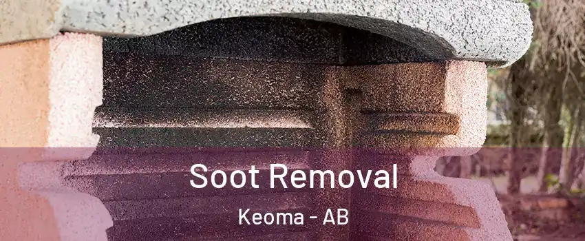 Soot Removal Keoma - AB