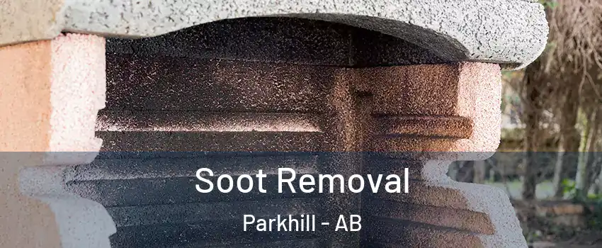  Soot Removal Parkhill - AB