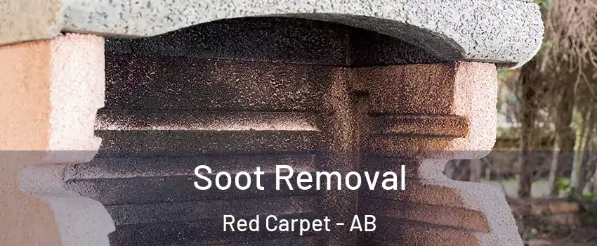  Soot Removal Red Carpet - AB