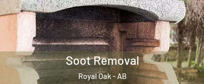  Soot Removal Royal Oak - AB