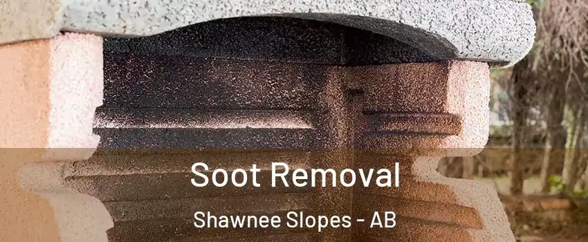 Soot Removal Shawnee Slopes - AB