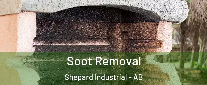  Soot Removal Shepard Industrial - AB