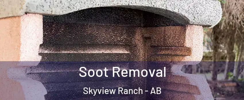  Soot Removal Skyview Ranch - AB