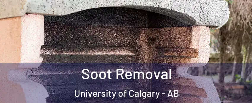  Soot Removal University of Calgary - AB