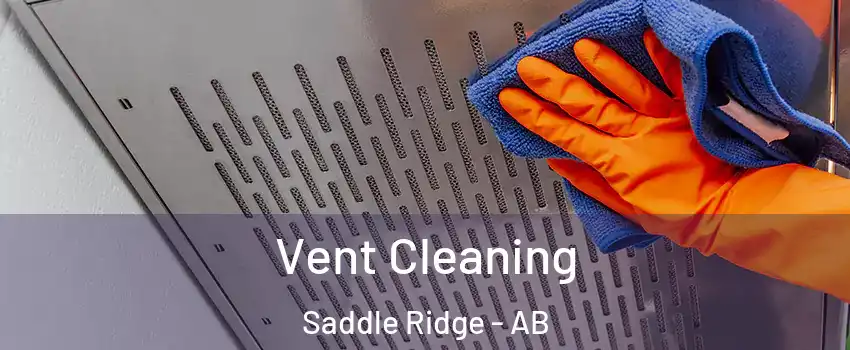 Vent Cleaning Saddle Ridge - AB