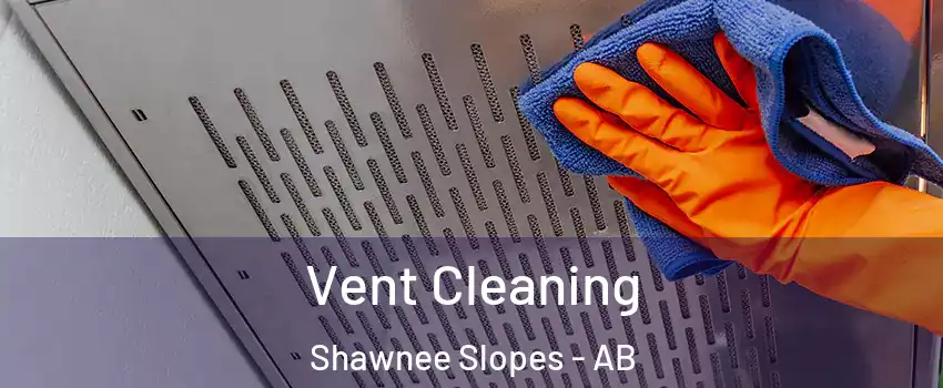  Vent Cleaning Shawnee Slopes - AB