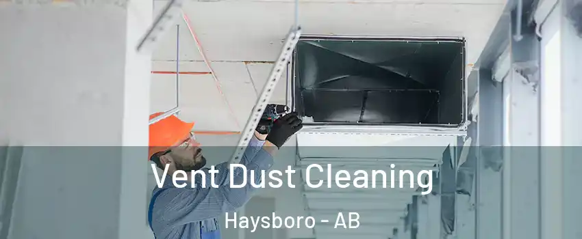  Vent Dust Cleaning Haysboro - AB