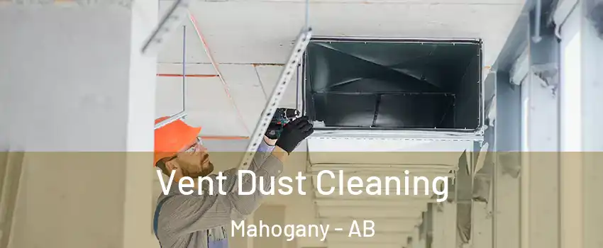  Vent Dust Cleaning Mahogany - AB