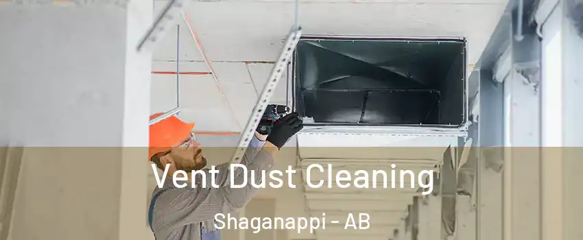  Vent Dust Cleaning Shaganappi - AB