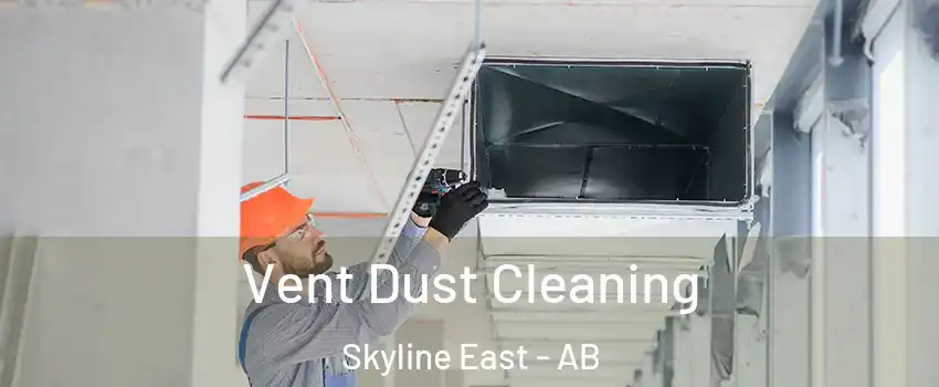  Vent Dust Cleaning Skyline East - AB