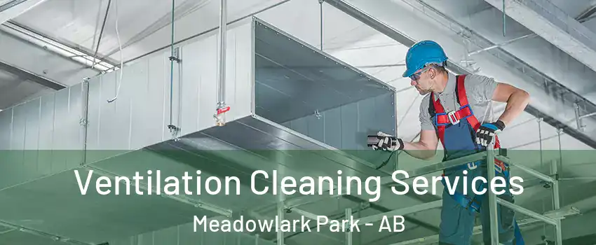  Ventilation Cleaning Services Meadowlark Park - AB