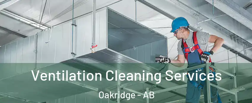  Ventilation Cleaning Services Oakridge - AB