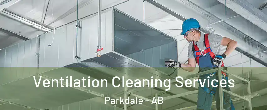  Ventilation Cleaning Services Parkdale - AB