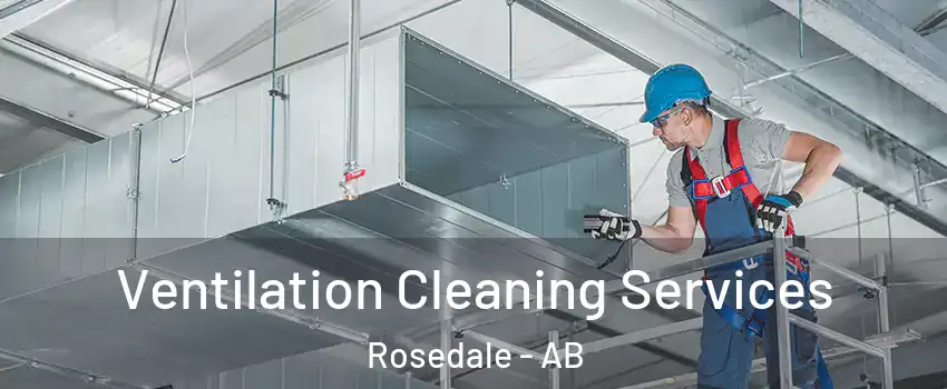  Ventilation Cleaning Services Rosedale - AB