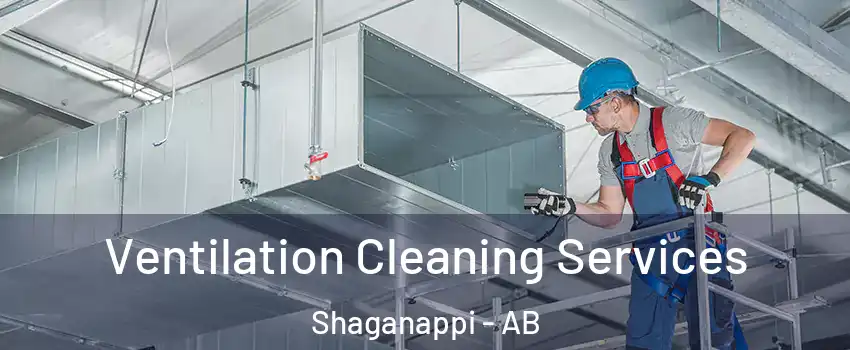  Ventilation Cleaning Services Shaganappi - AB