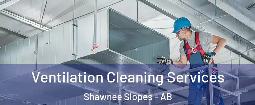  Ventilation Cleaning Services Shawnee Slopes - AB