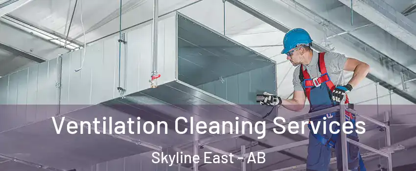  Ventilation Cleaning Services Skyline East - AB