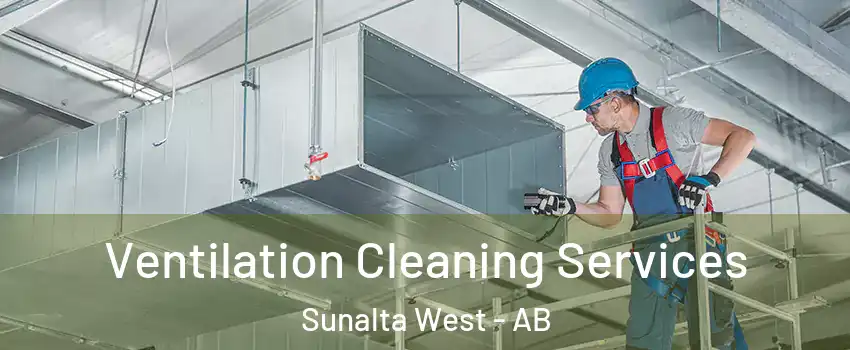  Ventilation Cleaning Services Sunalta West - AB