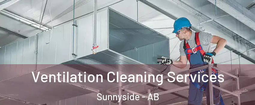  Ventilation Cleaning Services Sunnyside - AB