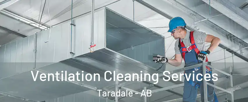  Ventilation Cleaning Services Taradale - AB
