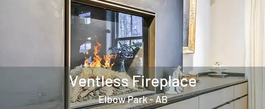  Ventless Fireplace Elbow Park - AB