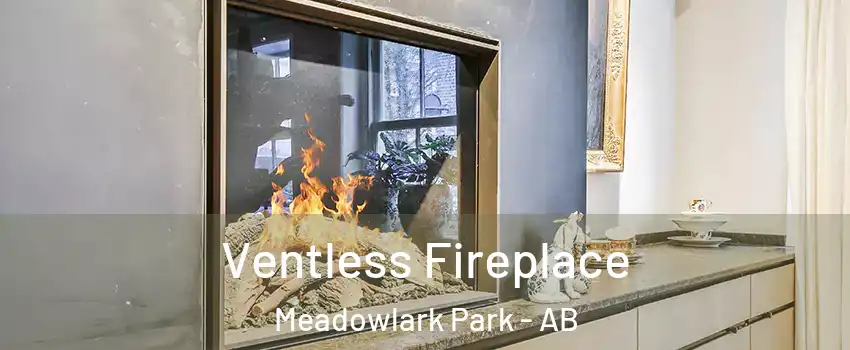  Ventless Fireplace Meadowlark Park - AB