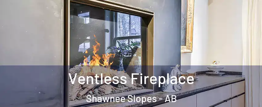  Ventless Fireplace Shawnee Slopes - AB