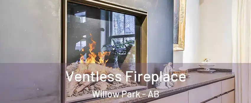  Ventless Fireplace Willow Park - AB