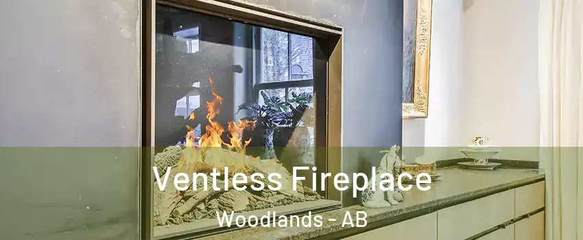  Ventless Fireplace Woodlands - AB