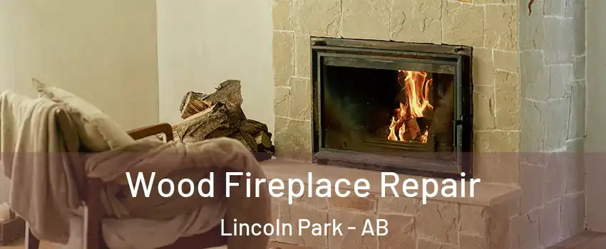  Wood Fireplace Repair Lincoln Park - AB