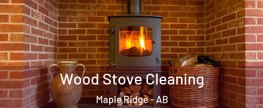  Wood Stove Cleaning Maple Ridge - AB